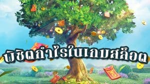 พิชิตกำไรในเกมสล็อต